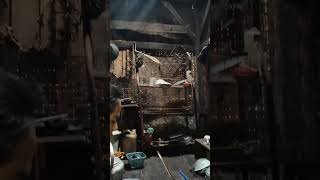 Download Lagu Dapur Kampung Dukuh #garut #viral #jawabarat #fypシ #kampung #kampungadat MP3