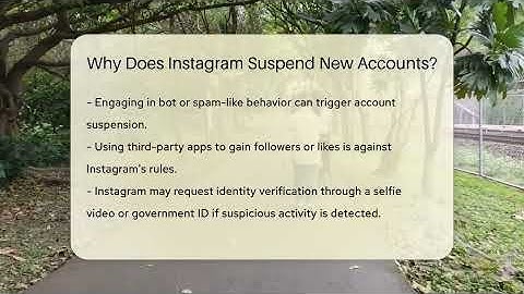 Why Does Instagram Suspend New Accounts? - Everyday-Networking
