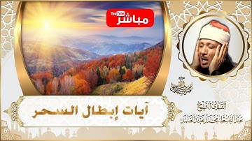 🛑 جميع آيات إبطال السحر من القرآن الكريم بصوت الشيخ عبدالباسط عبدالصمد 😌🎧