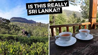 Sri Lanka Tea Plantation Tour + Overnight Stay in Nuwara Eliya