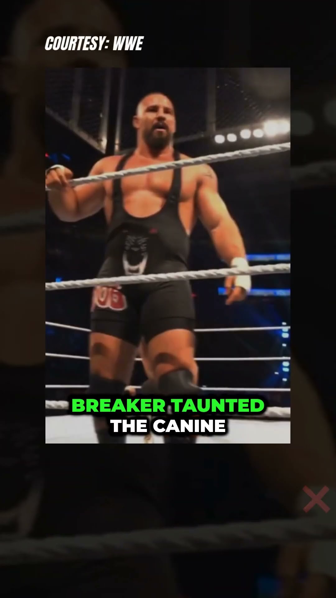 Bron Breakker faces a dog in the ring! Fans love this wild moment. #BronBreakker #shorts