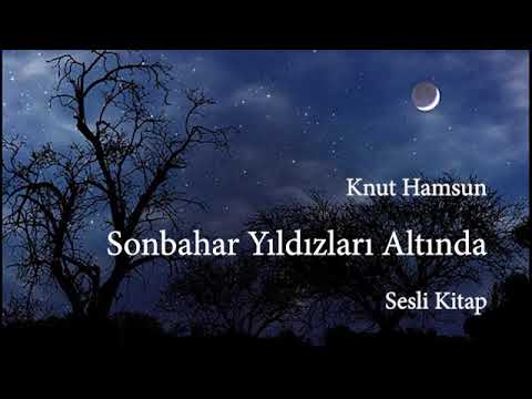 Knut Hamsun - Sonbahar Yıldızları Altında - Tek Parça Sesli Kitap - Seslendiren Nebi Kaya