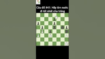 Câu Đố Cờ Vua #42: Hãy Tìm Nước Đi Tốt Nhất Cho Đen || Phoenix Chess