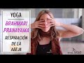 BRAHMARI PRANAYAMA | RESPIRACIÓN de la ABEJA en YOGA