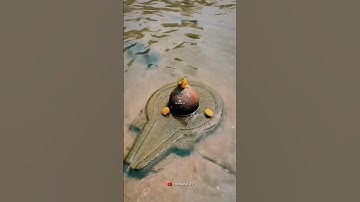 Mahashivratri status video 💫 shivratri status ☘️ Shiv Parvati status #mahadev #shorts