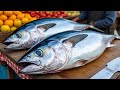 Everyday of My Life ❗🔥 Exploring Sorong Fish Market live broadcast of yellowfin tuna cutting