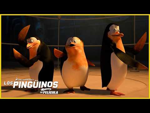 ¡Los pingüinos en crisis! 🐧‼️ | DreamWorks Madagascar en Español Latino