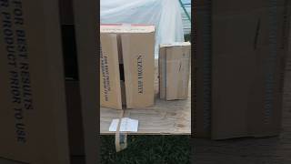 azure haul. Small but mostly new to me and spring is here