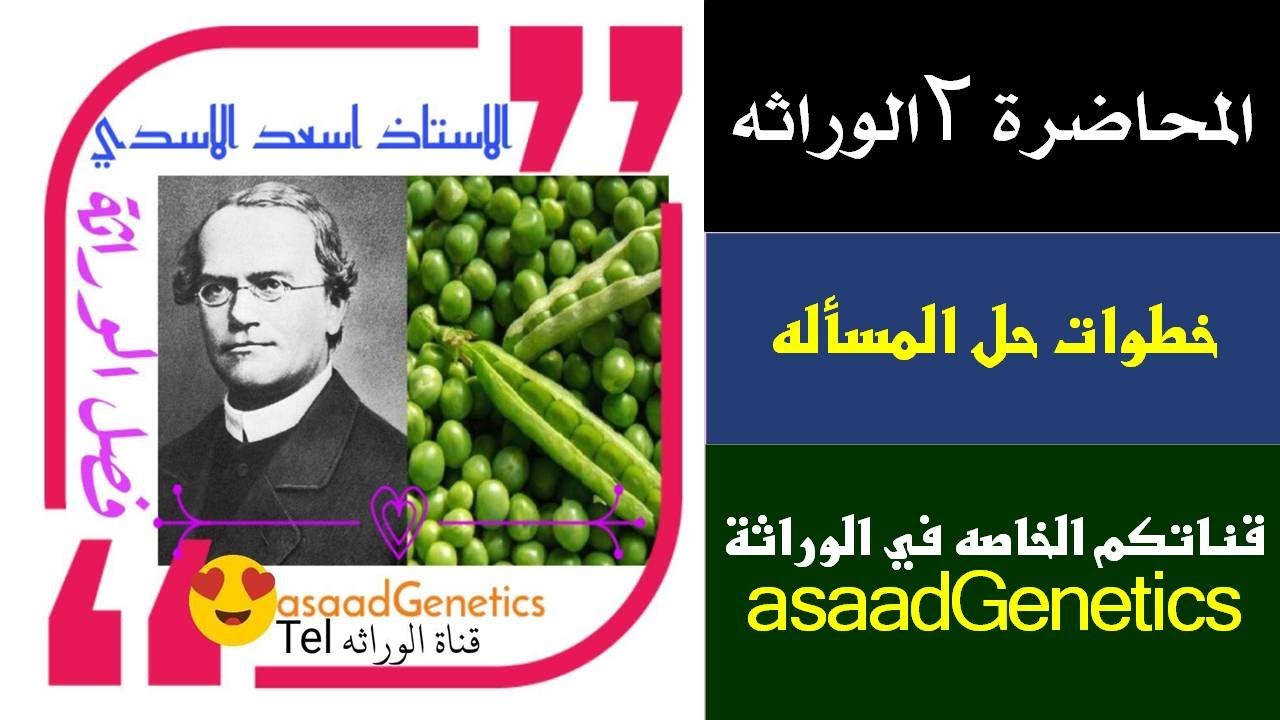 الوراثه احياء السادس الاحيائي / المحاضره ٢ / الاستاذ اسعد الاسدي