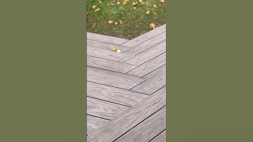 Nice little herringbone deck stair detail. #shorts #deck #howto #tips