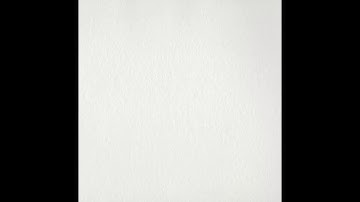 Watercolor stylized bird painting in procreate