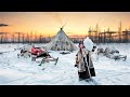 Doing home chores in arctic cold life of women reindeer herders in tundra