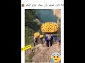 ١٢ كانون الأول ٢٠٢٤ ١٢ كانون الأول ٢٠٢٤