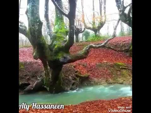 الأنشودة الرائعة صلى الإله صلى على الذي تجلى ﷺ للمنشد عبدالعزيز العريقي