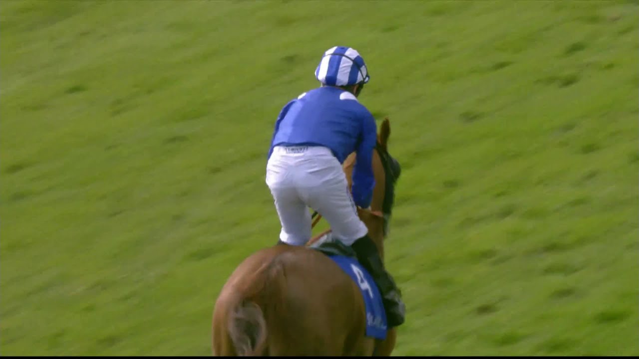 Shadwell Arabian Stallions Maiden Stakes