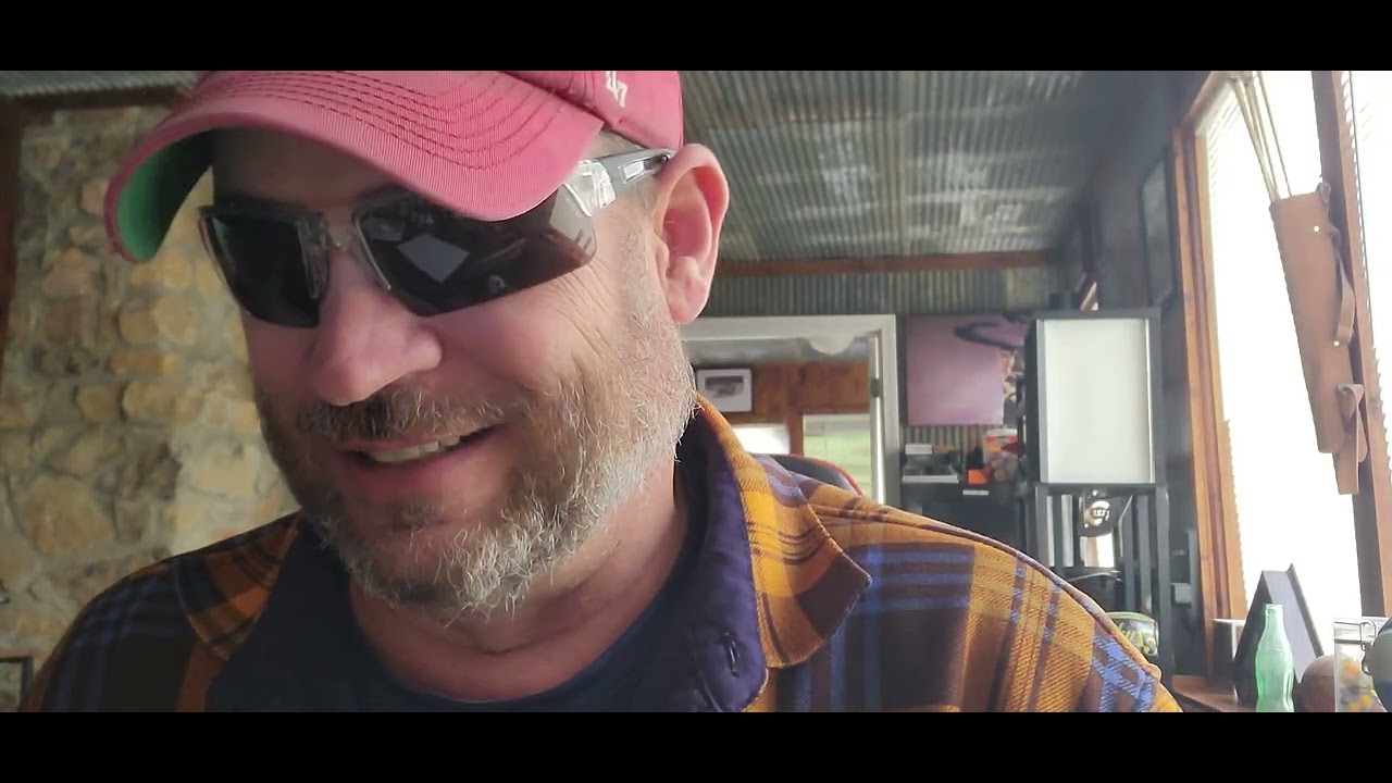 В Кентукки разгорелась кошачья драка