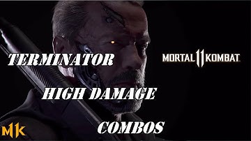 Mortal Kombat 11 -  Terminator High Damage Combo video