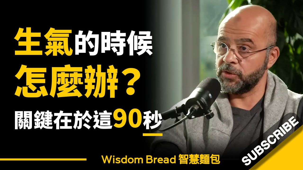 生氣的時候怎麼辦？ ► 關於就在於這90秒… – Mo Gawdat 莫・加多（中英字幕）