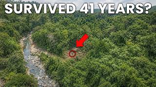 Download lagu How This Man Survived 41 Years in the Most Remote Jungle on Earth