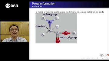 Structures and evolution of proteins