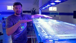 Vlog 29: The MOST Important and Overlooked Aquarium Accessory, the Lids