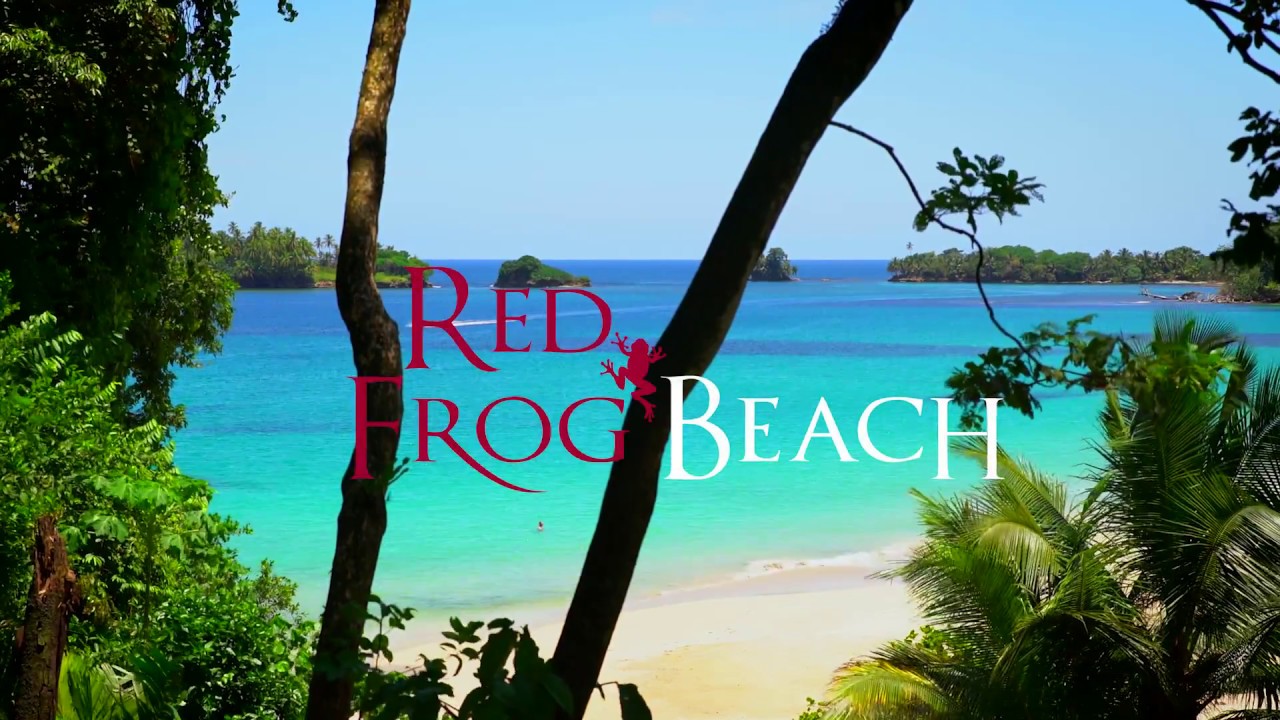 Red Frog Beach Island Vacation In Panama You Red Frog Beach Island Vacation In Panama