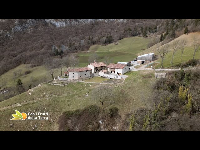 Contrada Bricconi dalla stalla alla Stella class=