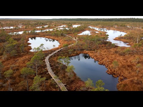 Video: Lipimas Ant Dirbtinio Krioklio Teton Ledo Parke - „Matador Network“