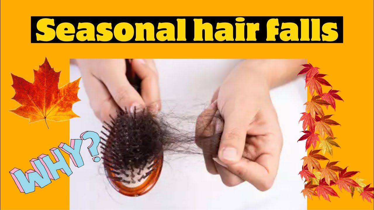Seasonal Hair Loss/ Hair loss YouTube
