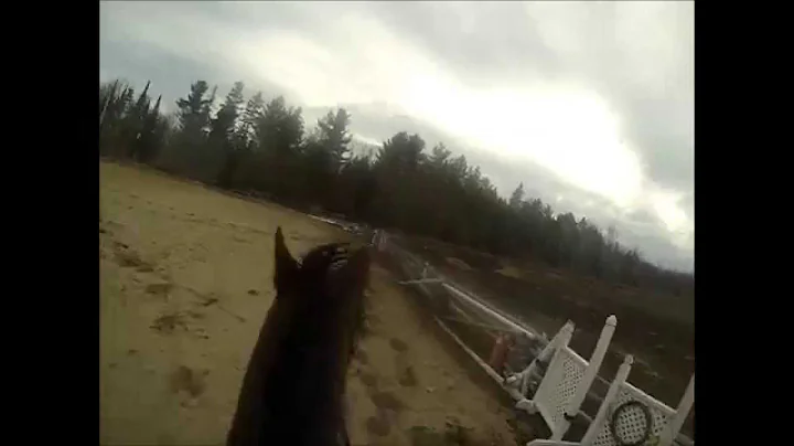 GoPro and OTTB