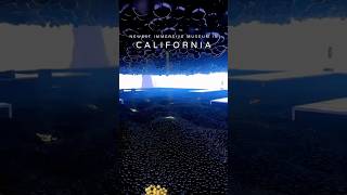 New immersive museum in Los Angeles!