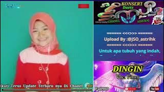 DINGIN _ karaoke |Duet Tanpa Vokal Pria