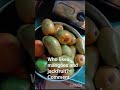 #आंबा आणि फणस ही दोन्ही उन्हाळ्यातील प्रसिद्ध फळे आहेत. 🥭🌳आंबा — फळांचा राजा मानला जातो. गोड, रसाळ