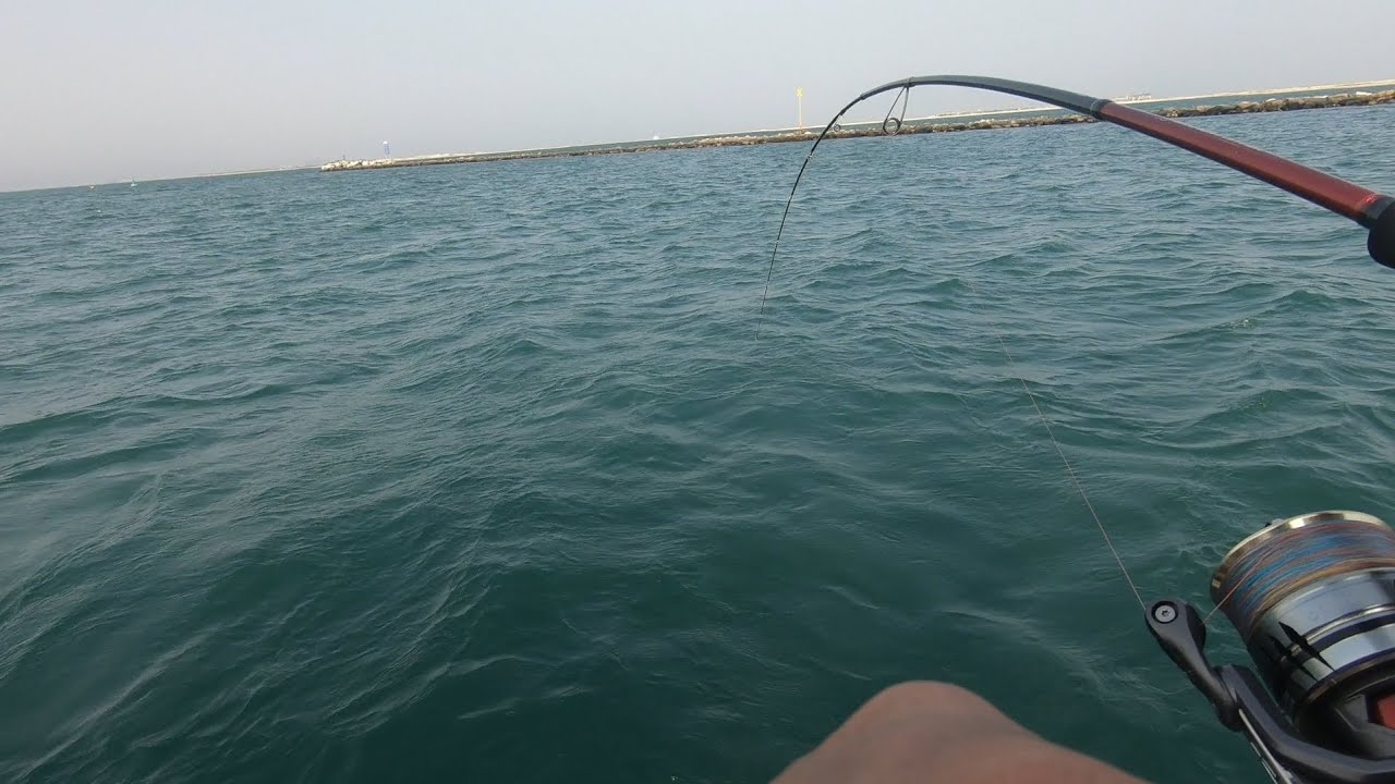 DAIDO KRAVEN SW 2000HS