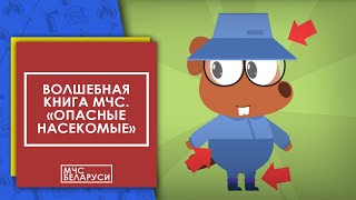 Волшебная книга МЧС: 