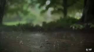 Rüya-Dream-حلم-By Serkan Cagri