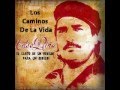 Celso Piña - Los Caminos De La Vida