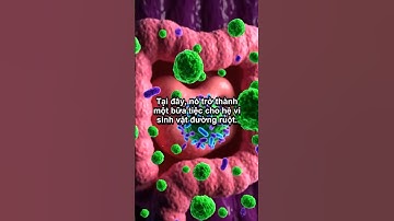 Điều gì xảy ra với cơ thể khi ăn chuối xanh #tintuc #sucsongtre