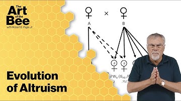 Evolution of Altruism