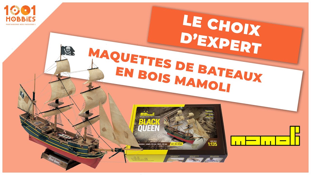 Kit Modèle Bois Dusek Mamoli MV55 Alerte - Maquette Bateau échelle 1:45 - Neuf