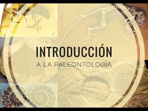 Introducción a la paleontología
