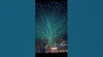 China broke a Guinness World Record with an AI-controlled drone show using 16,000 drones