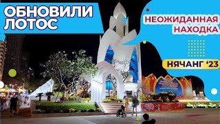 [VLOG] НОВЫЙ ЛОТОС. НЕОЖИДАННАЯ НАХОДКА (16-24.01.2023)