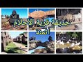 جولة في قرية الأحلام محمدية حديقة الحيوانات معلومات وأثمنة ثمن تزاد ولة 50 درهم