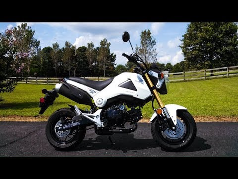 honda grom test