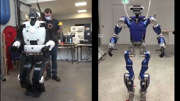 Torque Controlled Locomotion of a Biped Robot with Link Flexibility