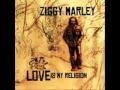 Ziggy marley  make some music