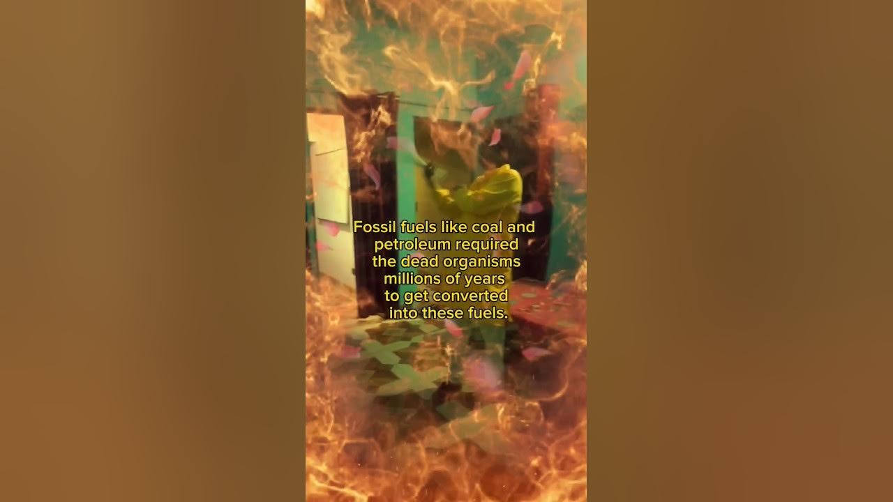 Explain Why Fossil Fuels Are Exhaustible Natural Resources Fossil explain-why-fossil-fuels-are-exhaustible-natural-resources-fossil