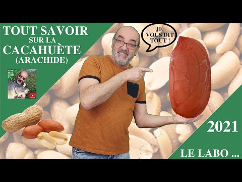 Vidéo: Sur Quoi Picore La Carpe - La Recette Du Grand-père Afanasy