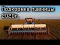 Подкармливаем пшеницу 2020г. МТЗ-892  СЗ-5.4